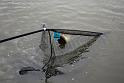Manor Farm Coarse Fishing Anglers of the Future (27)
